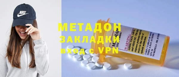 прущие грибы Балабаново
