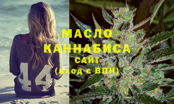стаф Пересвет