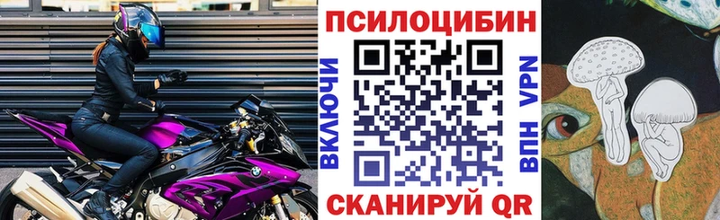 закладка Горячий Ключ Галлюциногенные грибы Psilocybe
